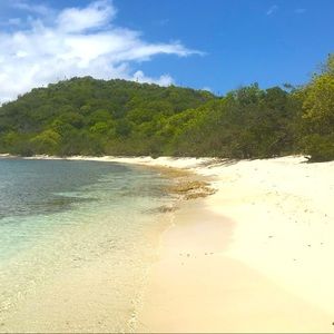 Meet your Posher, Lina